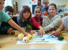 Školní projekt Ovoce a zelenina do škol